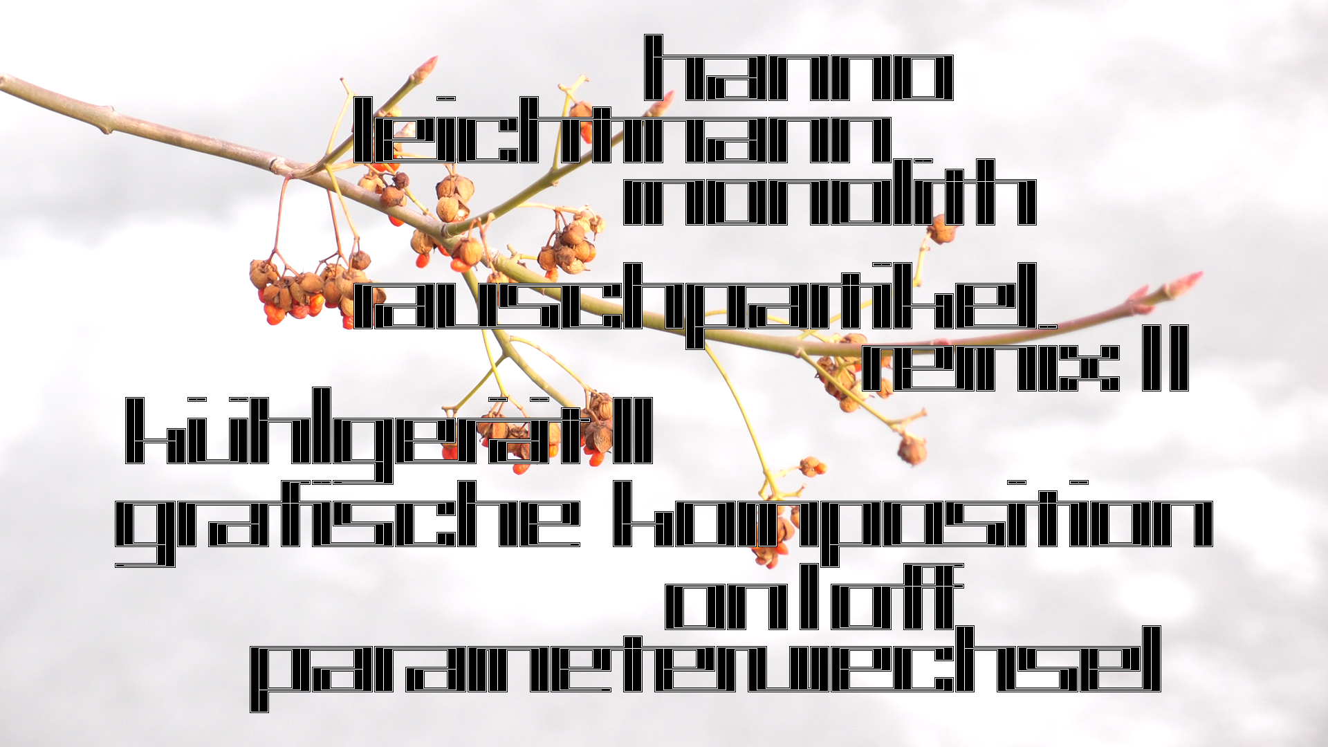 2021-03-10 Hanno Leichtmann - 1996 Monolith (rauschpartikel Remix 1 - 3)